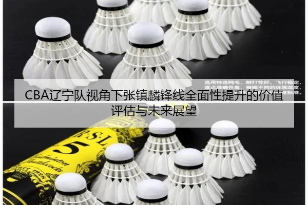 CBA辽宁队视角下张镇麟锋线全面性提升的价值评估与未来展望（kaiyun）