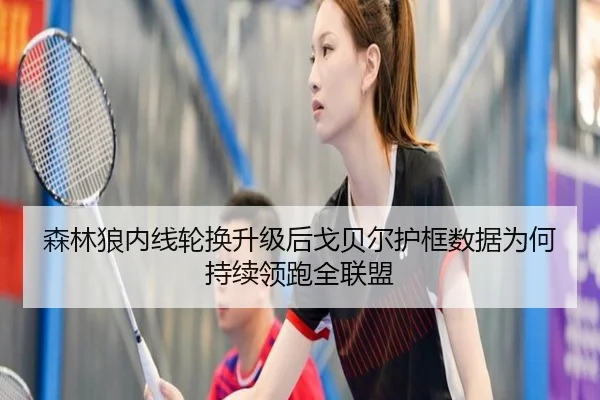 森林狼内线轮换升级后戈贝尔护框数据为何持续领跑全联盟（kaiyun）